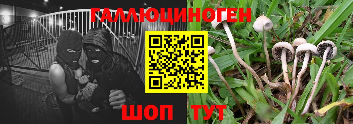 Галлюциногенные грибы MAGIC MUSHROOMS  цена   Волгодонск  Вход с VPN 